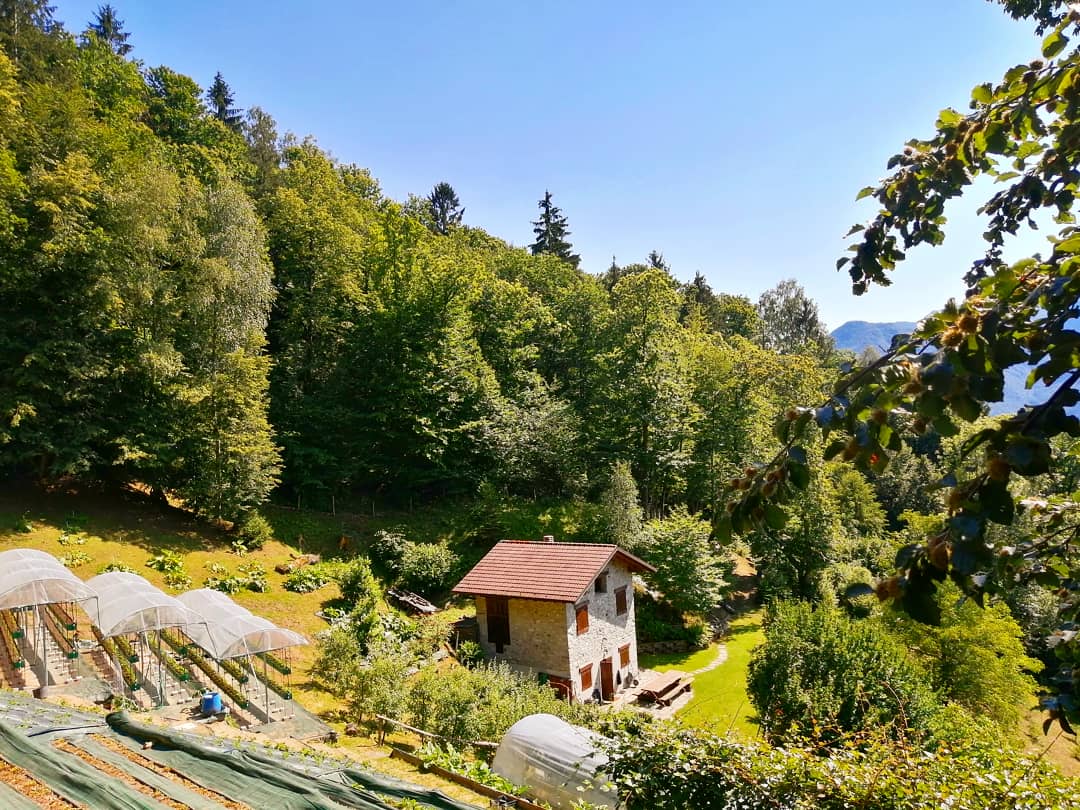 Az. Agr. Della Fara