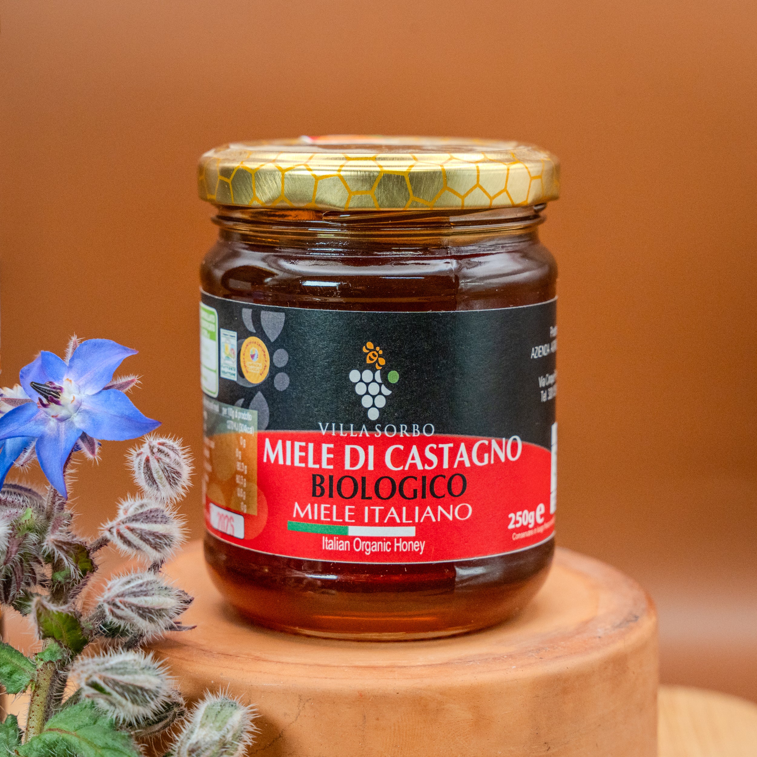 Miele di Castagno Bio - Selezione Villa Sorbo
