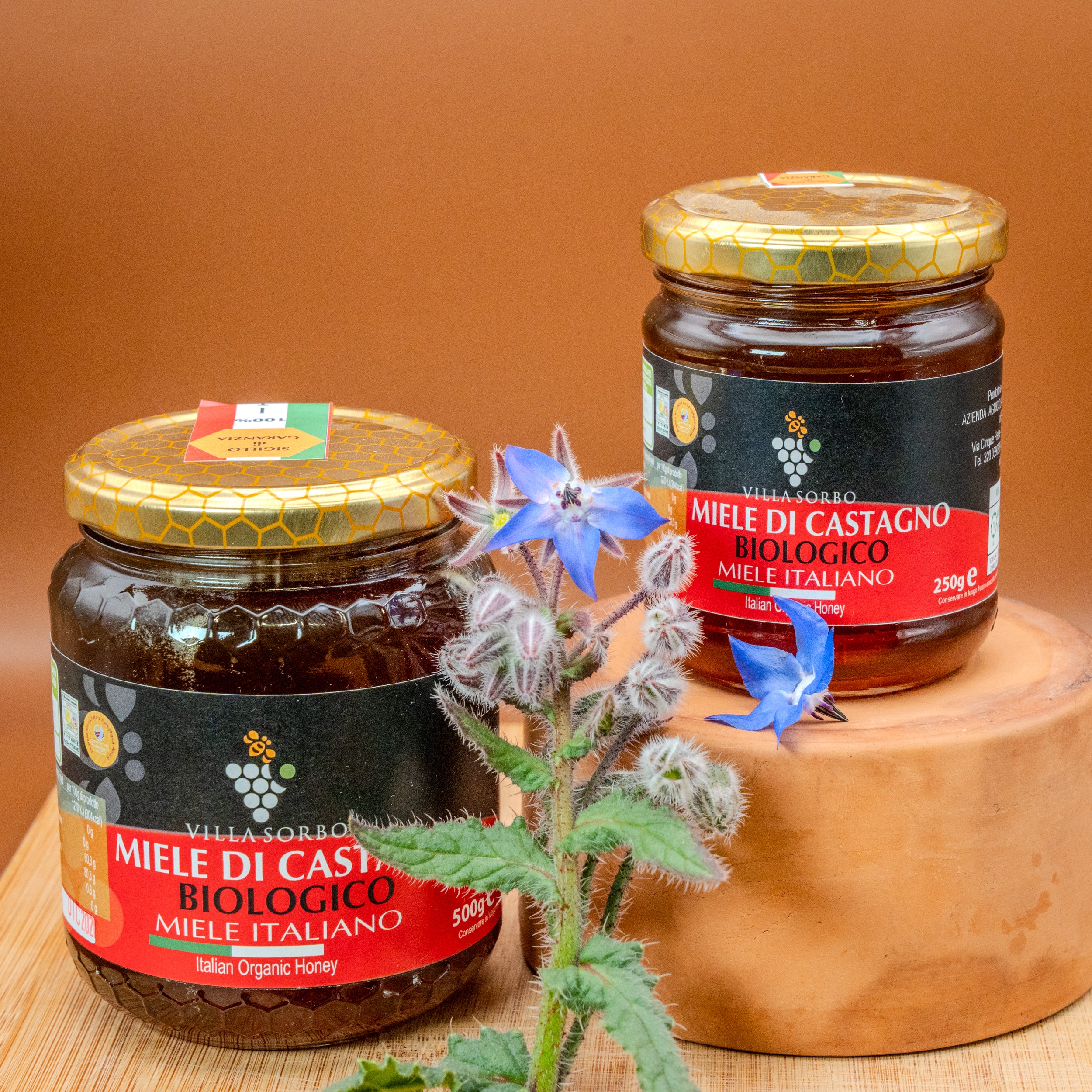 Miele di Castagno Bio - Selezione Villa Sorbo